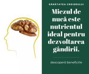 Sanatatea creierului si beneficiile miezului de nuca