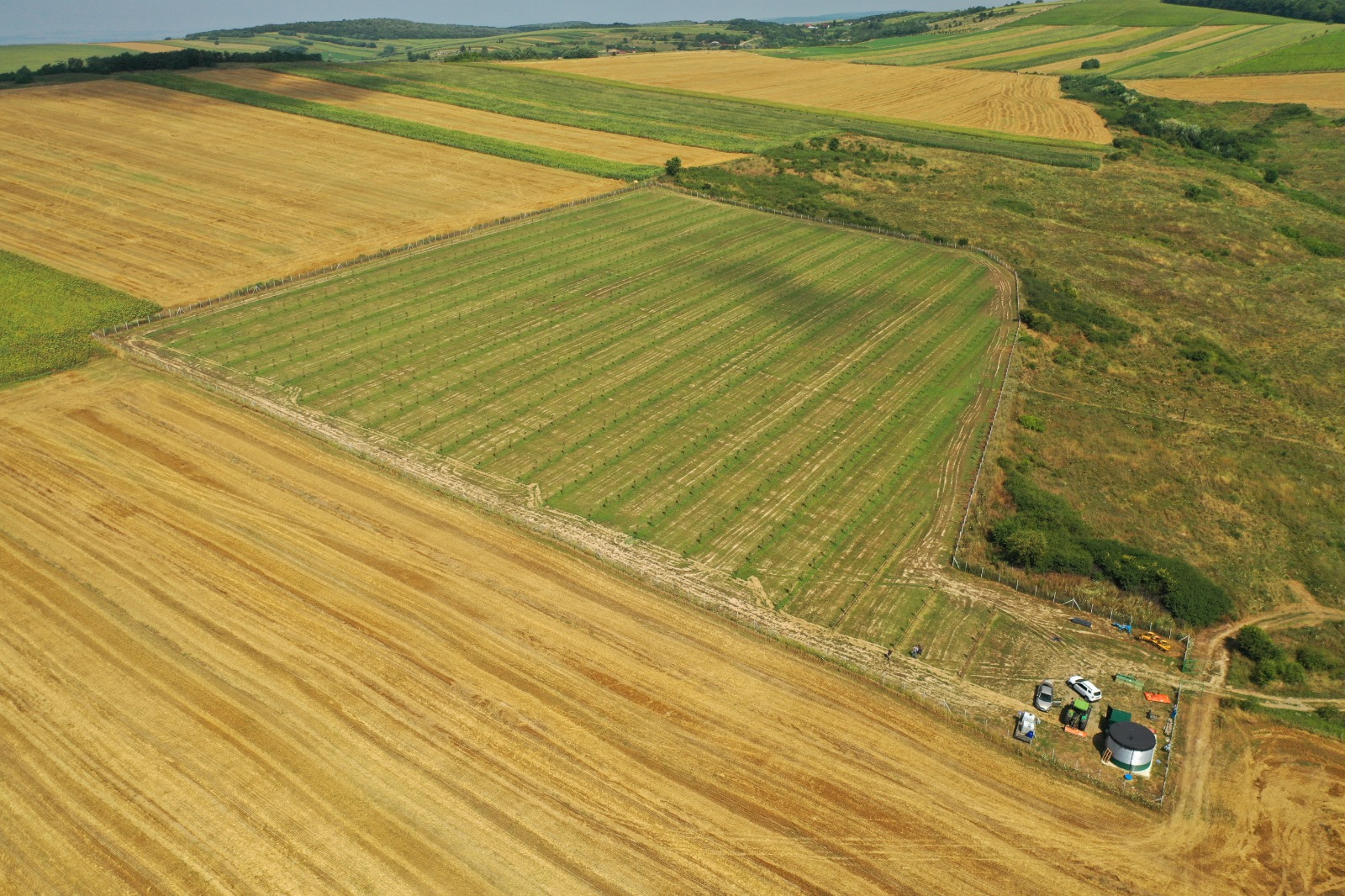 Livada Talenting Agricultura